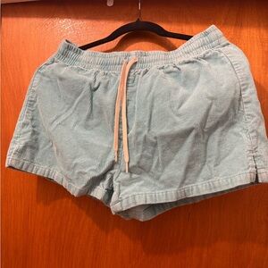 PacSun Light Blue Athletic Shorts